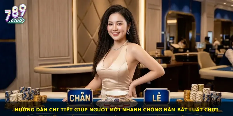 Hướng dẫn chi tiết giúp người mới nhanh chóng nắm bắt luật chơi