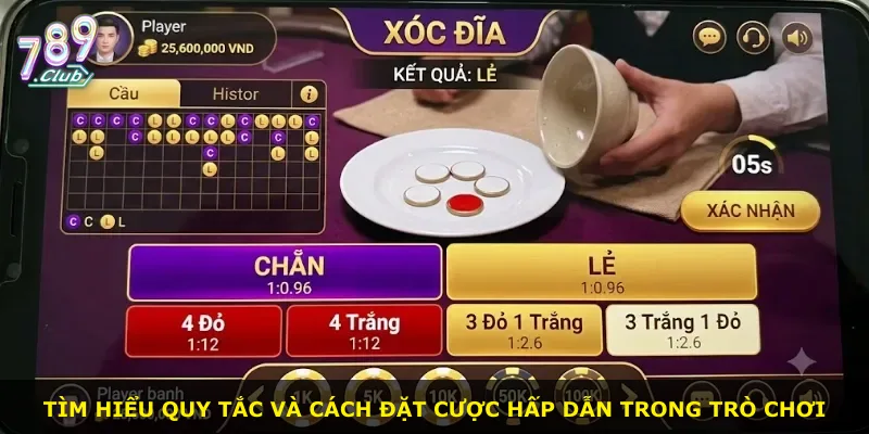 Tìm hiểu quy tắc và cách đặt cược hấp dẫn trong trò chơi